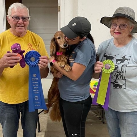 Meet your Posher, Jordin - Picture 1 of 1